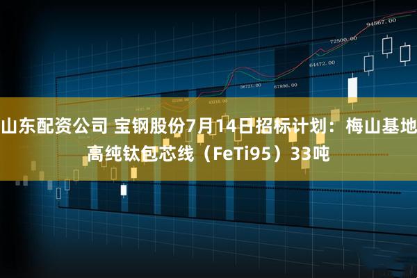 山东配资公司 宝钢股份7月14日招标计划：梅山基地高纯钛包芯线（FeTi95）33吨