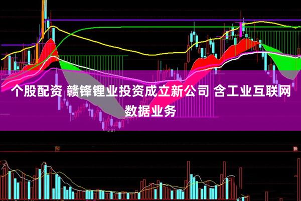 个股配资 赣锋锂业投资成立新公司 含工业互联网数据业务