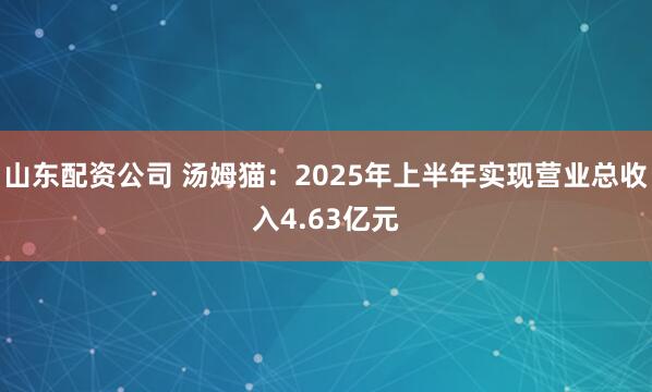 山东配资公司 汤姆猫：2025年上半年实现营业总收入4.63亿元